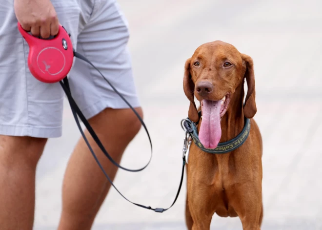 Pirmdiena būs vasarīgi silta