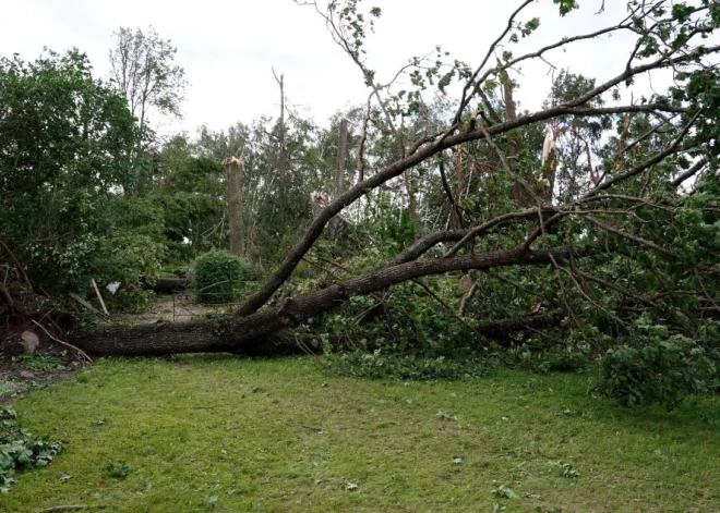 Пострадавшие в пятничной буре жители Латвии потянулись за деньгами в страховые фирмы. Речь идет о сотнях тысяч евро