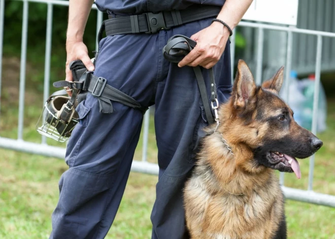 Собака литовских пограничников 5 км преследовала прорвавшихся из Беларуси в Латвию мигрантов