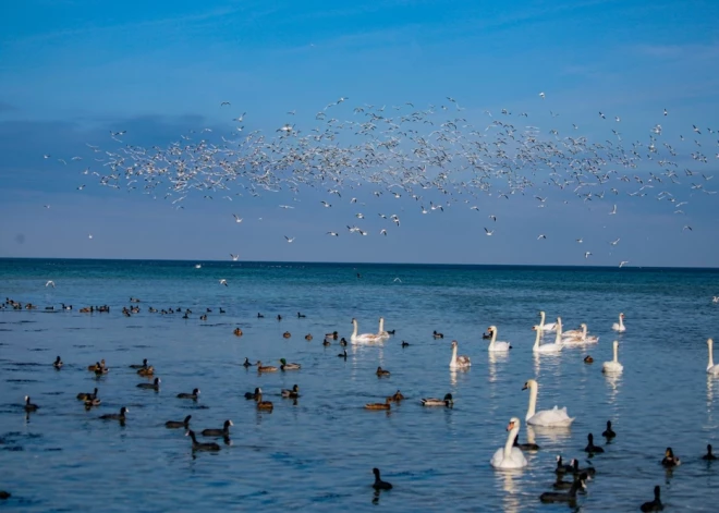 Народные приметы врут: как на самом деле природа "предсказывает" погоду