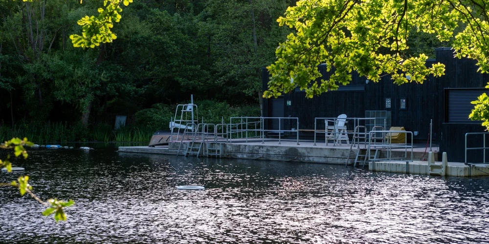 Женский пруд (Ladies Pond) в Лондоне.
