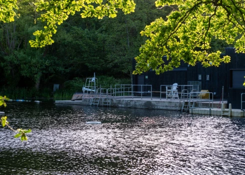 Женский пруд (Ladies Pond) в Лондоне.