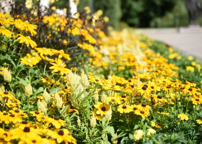 Otrdien Latvijā saule mīsies ar negaisu: vietām iespējama arī krusa