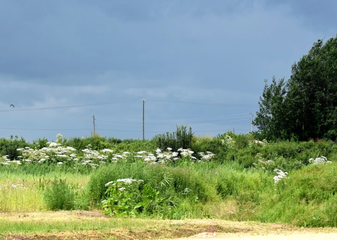 Во вторник на юге страны возможны грозы и град