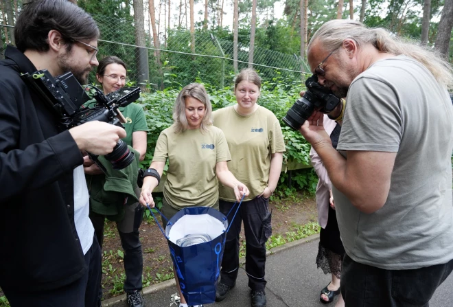 Церемония присвоения имен тигрицам в Рижском зоопарке.