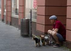 Vācijā pēdējo divdesmit gadu laikā to cilvēku skaits, kuri dzīvo vieni, ir ievērojami pieaudzis