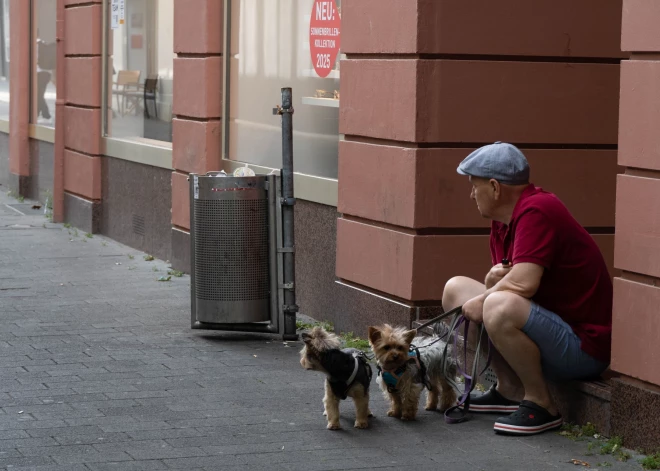 Vācijā pēdējo divdesmit gadu laikā to cilvēku skaits, kuri dzīvo vieni, ir ievērojami pieaudzis