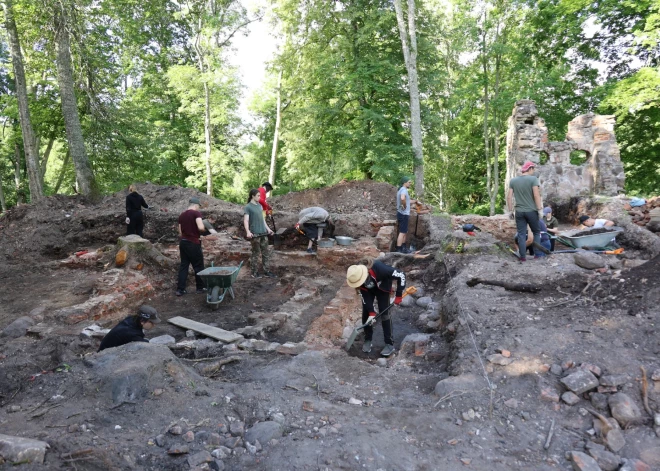 Arheoloģiskos izrakumus Zasas muižas parkā veica Latvijas Universitātes Humanitāro zinātņu fakultātes Vēstures un arheoloģijas programmas studenti.