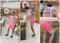 VIDEO: iedzīvotājus sadusmo vietējais influenceris, kurš satura dēļ ielec "Spices" akvārijā un nopeldās ar zivīm