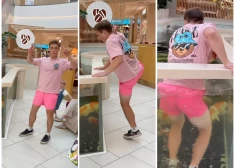 ВИДЕО: местный блогер возмутил людей, прыгнув в аквариум с рыбами в Spice ради контента