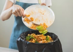 Жители Латвии выбрасывают огромные объемы продуктов питания: под 100 килограммов в год на человека