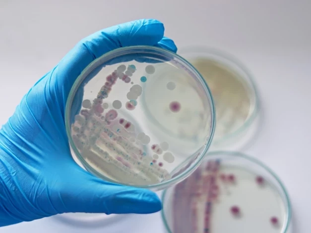 Смертельная бактерия Vibrio vulnificus известна ученым с 1976 года.