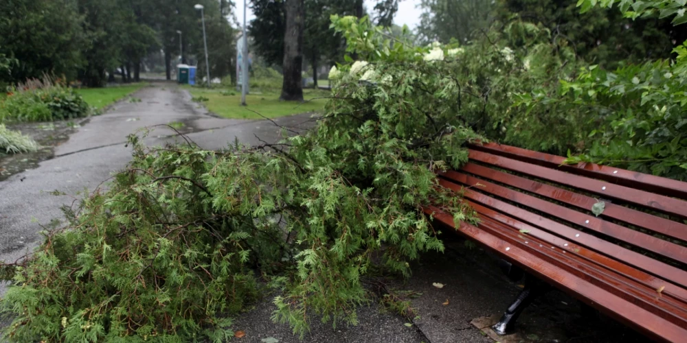Krasu vēja brāzmu gadījumā nolauzti koku zari un citi nefiksēti priekšmeti vai atlūzas var tikt nestas pa gaisu. 