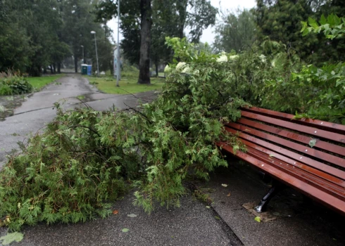 Krasu vēja brāzmu gadījumā nolauzti koku zari un citi nefiksēti priekšmeti vai atlūzas var tikt nestas pa gaisu. 