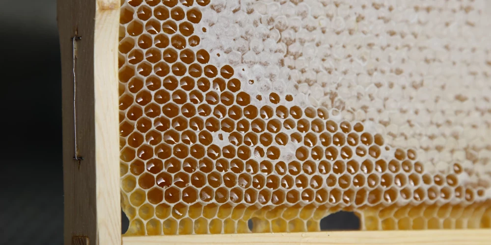 Pasākuma laikā, nogaršojot 48 medus paraugus, tika noteikts arī "Biškopju iecienītākais medus".