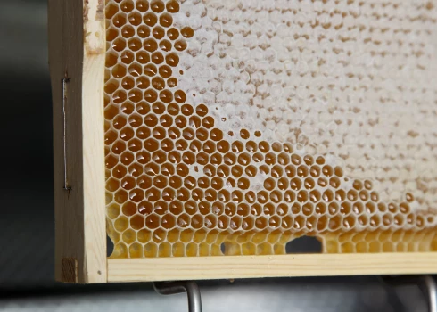 Pasākuma laikā, nogaršojot 48 medus paraugus, tika noteikts arī "Biškopju iecienītākais medus".