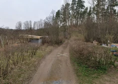 "Люди будут жить на кладбище!" Вместо леса - крематорий: рижан тревожит новый проект в Иманте