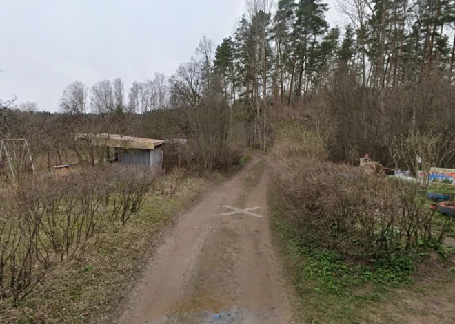 "Люди будут жить на кладбище!" Вместо леса - крематорий: рижан тревожит новый проект в Иманте