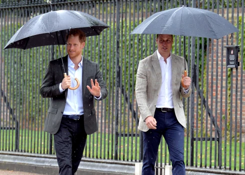 Принцы Гарри и Уильям.