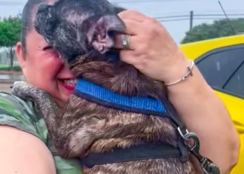 Laimīgā saimniece ar atradušos kucīti Blū (ekrānuzņēmums no "Instagram")