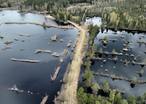 Большое Кемерское болото.