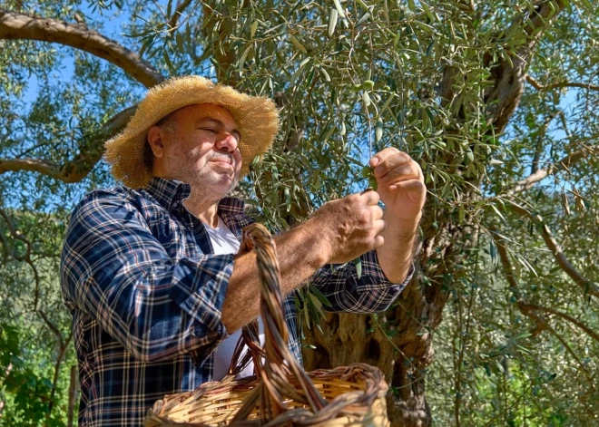 В Греции приняли неожиданное решение: в стране будут штрафовать за работу после обеда