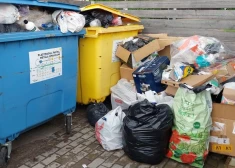Ulbrokas bīstamie braucēji, koks ceļa vidū Jēkabpils novadā un šmucīgie alūksnieši: kriminālā province