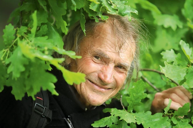 Vilis Bukšs