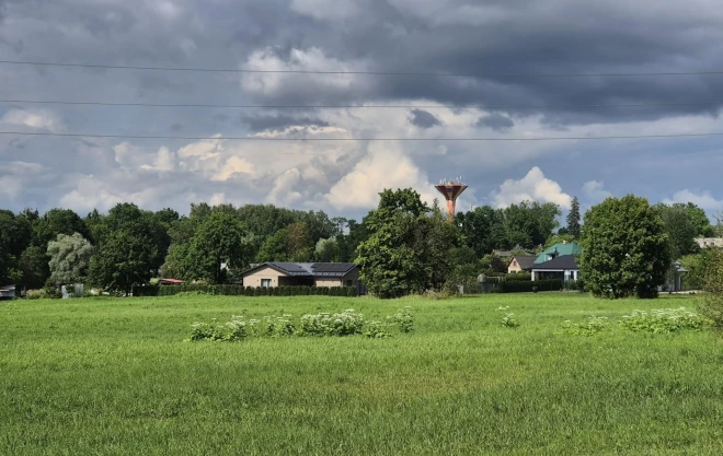 Siguldai garām braucošos nepatīkami pārsteidz sakuplojošo latvāņu “plantācija” netālu no tirdzniecības centra “Šokolāde”.