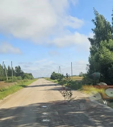 Lai pievērstu uzmanību bedrēm uz ceļiem, kāds vienā no tām ceļa posmā Slate-Rubeņi iestādījis koku.