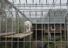 Uz laiku slēdz Klaipēdas zooloģisko dārzu. Dzīvnieki esot turēti sliktos apstākļos