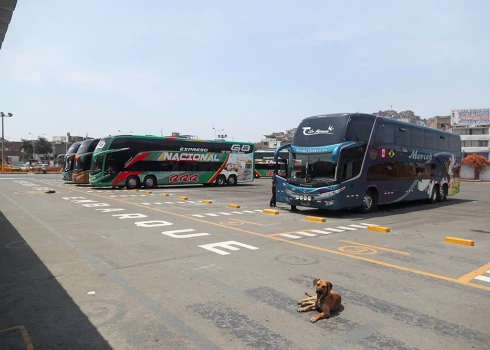 Divstāvu autobuss piederēja uzņēmumam "Expreso Molina Líder Internacional".