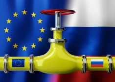 ЕС может полностью запретить импорт газа из РФ значительно раньше, чем планировалось