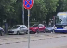 “Neviens neticētu, ka kavēju darbu kaiju dēļ!” Rīgā novērots komisks incidents
