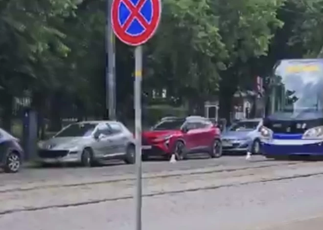 “Neviens neticētu, ka kavēju darbu kaiju dēļ!” Rīgā novērots komisks incidents