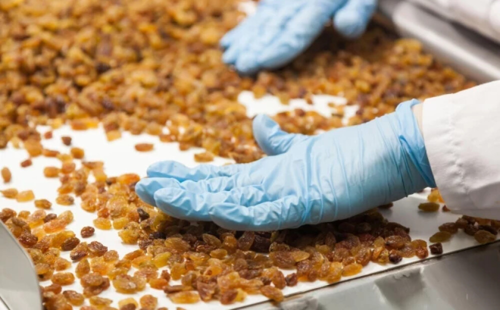 PVD Uzbekistānas izcelsmes rozīnēs konstatējis kancorigēnu vielu