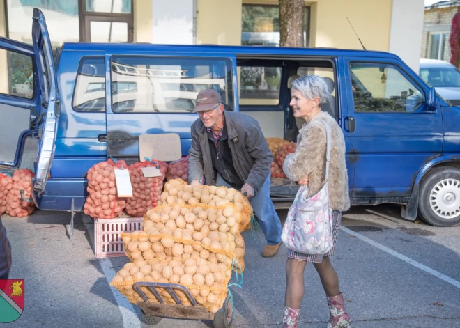 Satraucas par kartupeļu ražu, vai mums to pietiks. Kā aug un cik daudz kartupeļu šoruden novāksim?