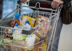 Корзина из 15 продуктов  в «Lidl» стоит  меньше 20 евро