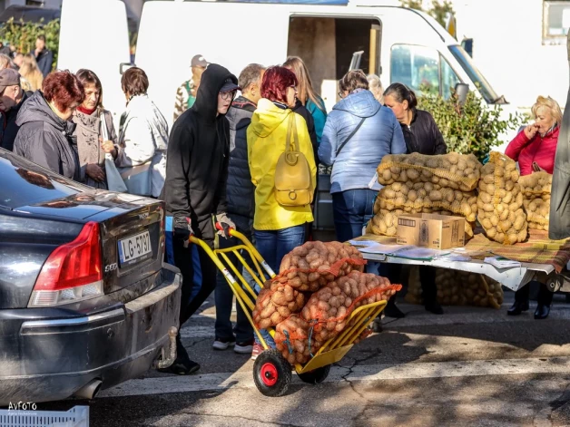 Kartupeļu ražu vēl var būtiski ietekmēt laikapstākļi, bet par to, ka tie varētu aptrūkties nevajadzētu satraukties (attēlā: Madonas Kartupeļu svētkos).