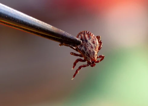 Иллюстративное фото.