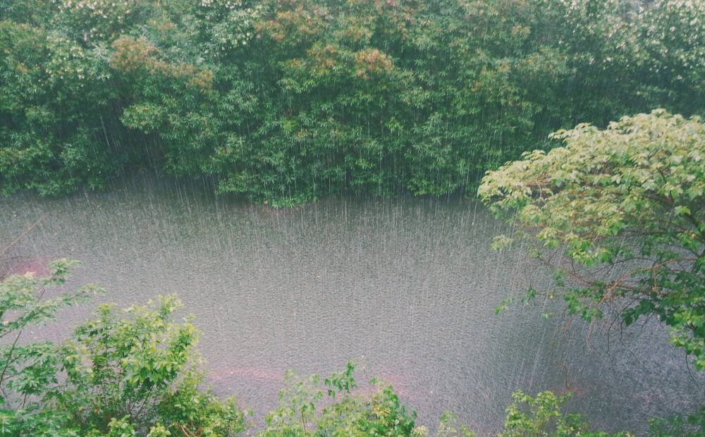 Brīdina par stiprām lietusgāzēm Latvijas austrumu daļā