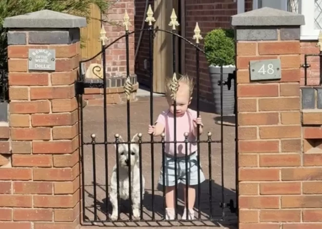 Pārsteigums no vecmāmiņas: māte ar grūtībām atpazina savu bērnu