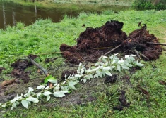 FOTO: no Titurgas ezera izceļ metāla caurules un saknes – vairāki peldētāji savainojušies
