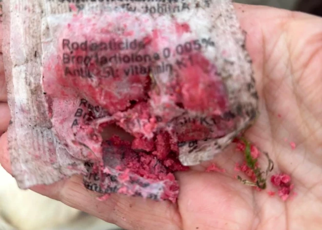 Vairākās Rīgas vietās atrasti suņiem bīstami gaļas gabali ar naglām un indīgām vielām – ieteicams pieskatīt mājdzīvniekus