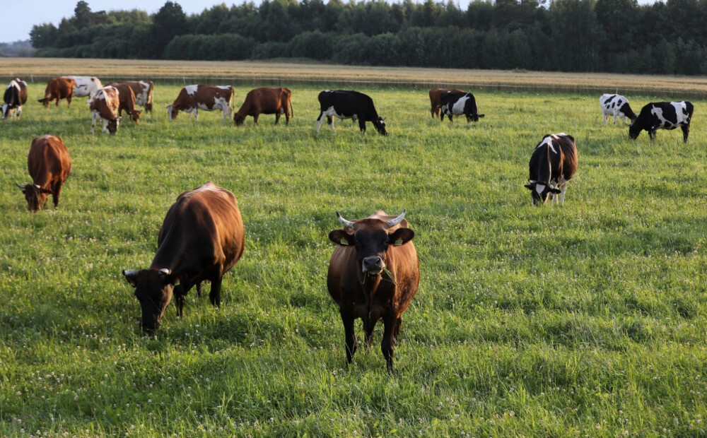 Trešdien vietām gaiss sakarsīs līdz +30 grādiem