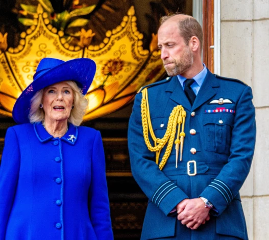 Karaliene Kamilla un princis Viljams nespēšot piedot Harijam viņa neuzticību karaļnamam, lēš eksperti.