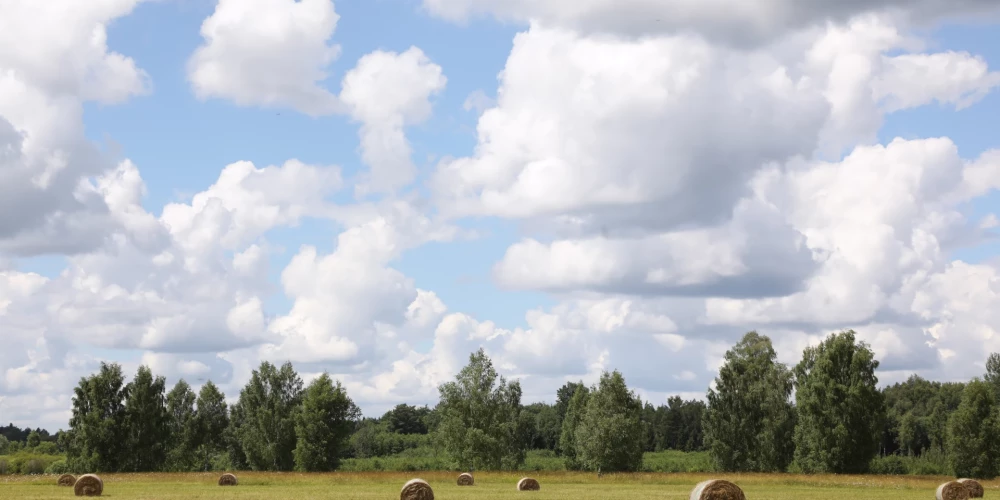 Ainava ar siena ruļļiem.