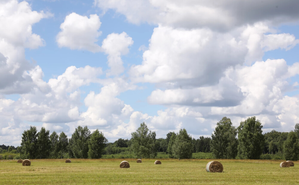 Labas ziņas! Nedēļas nogalē laiks kļūs saulaināks