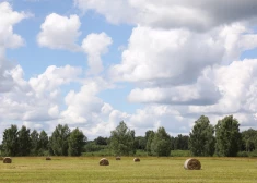 Labas ziņas! Nedēļas nogalē laiks kļūs saulaināks