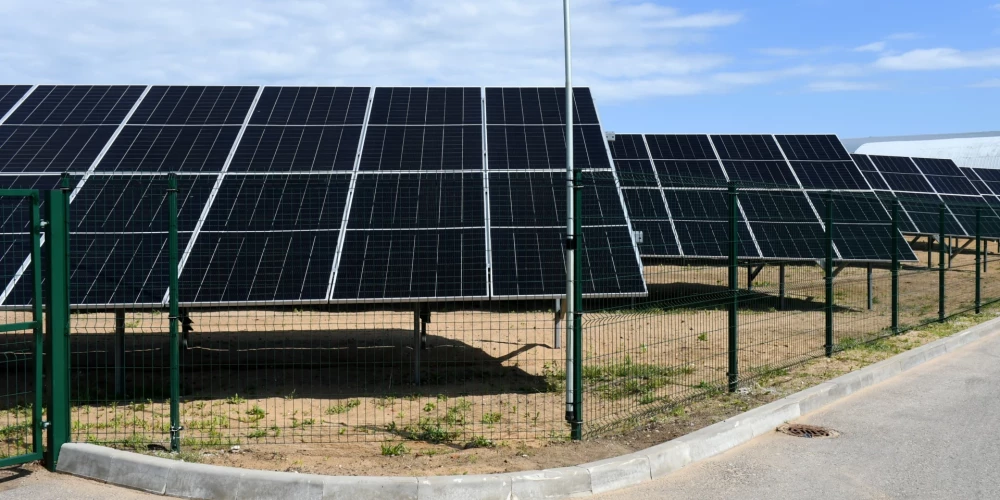 Иллюстративное фото.